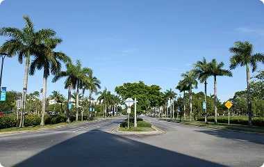 Palm City